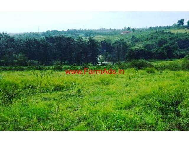 5 acre Agriculture land for sale in hassan, between alur and Ballupete