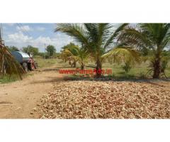 84 Acres Farm Land for sale on Penukonda and Madakasira Highway