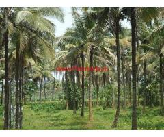 3.41 acre coconut farmland with Big house for sale near Udupi