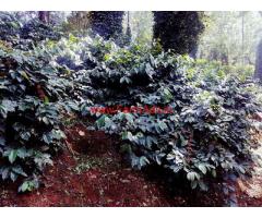 1757 Acres of Coffee estate for sale in Chikmagalur