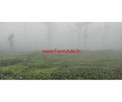 1757 Acres of Coffee estate for sale in Chikmagalur