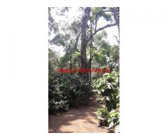 115.5 acres coffee estate for sale in Madikeri