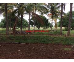 2 acres Coconut Farm for sale near Belur, 2 KMS from City