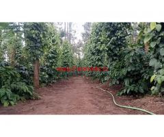 2.5 acre coffee and pepper plantation for sale near Kodlipete