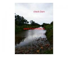 20 Acres - 5 Years old, good yielding DJ Coconut farm for sale.