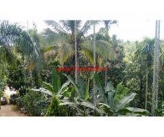 Farm house in 2.82 Cents farm land for sale in Mananthavady