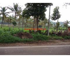 1.30 Acres coconut farm for sale in chikkamagaluru, near Kemmangundi