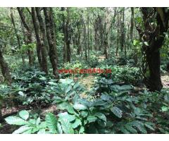 28 acres Farm for sale at Chikmagalur, near to City and Tar Road facing