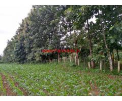 13 acre Plantation for sale in Sagara, Shivamogga, besides state highway