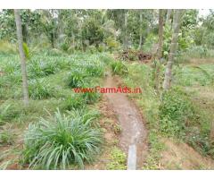 1 acre 20gunta farmland for sale 6km from malavalli, 2KM from Highway