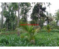 1 acre 20gunta farmland for sale 6km from malavalli, 2KM from Highway