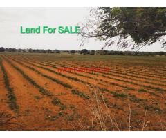 12 Acre Agriculture Land For at Taduru Mandal, Nagarkurnool