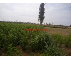 Farm Land 5.5 acres for sale at Sidlagatta, 70 kms from Bangalore