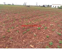 10 Acres Agricultural land for sale near Hoovinahole, Hiriyur