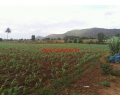 5 acres Agriculture farming land for sale at Lokkanahally, Kollegala Taluk