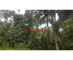 3 acres coffee estate with Farm house for sale at Mananthavady