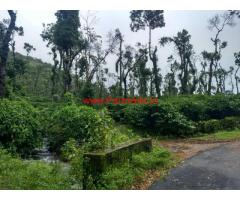 2 acres coffee plantation for sale on Sakleshpura - madikeri Road
