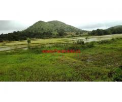 6.5 acre farm land for sale in Mudigere - chikkamagaluru