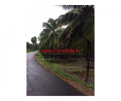 3.60 acres of coconut farm for sale near Kozhinjampara