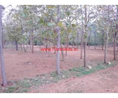11 cents farm land for sale near Selvapuram