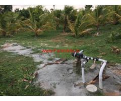 16.5 Acres Coconut Farmland for sale near Pollachi