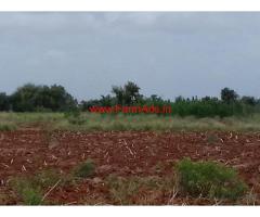 6 acres plain agriculture land at Hunusenahalli - Gowribidnur