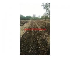 13 Acres fully irrigated agriculture land sale at Ramgiri