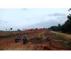 5 acres agriculture farm land for sale near Thally. 20 KMS from Hosur.