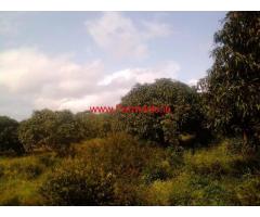 14 acre Farm land for sale in hassan , 35 km from hassan city