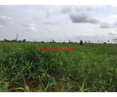 15 acres agriculture land for sale near Hiriyur , chitradurga