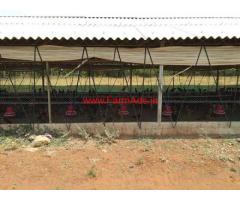 Poultry Farm for sale in Periyapatti