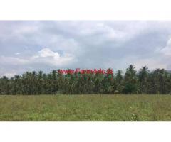 7 acres coconut farm land for sale in Rajapalayam
