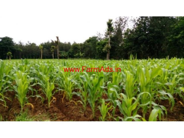 4 acres agriculture land for sale in Alur