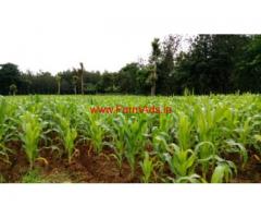 4 acres agriculture land for sale in Alur