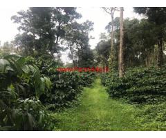 690 Acres of Coffee Estate for sale Sakleshpur