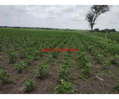 3 Acre Agriculture Land For Sale 14 KMs from Amangal