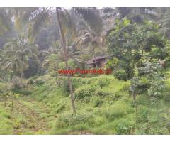 5 acre Agriculture land with old house for sale yellapur to gokarna road.