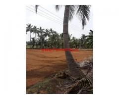 11 Acres Agri land for sale in Coimbatore - Kovilpalayam near Punnai