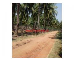 3.75 acres coconut farm land for sale near Rajakkamanagalam