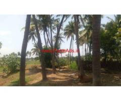 4.5 acres agriculture land for sale near Thunkavi
