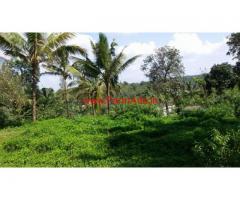 12 cents farm land for sale in Mananthavady