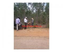 1.27 acre agricultural land for sale at Dodabelavangla near Doddaballapur