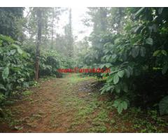 4 Acres Coffee Estate for sale at Virajpete - Coorg