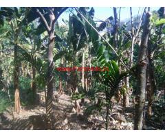 5 acres farm land for sale in Palakkad