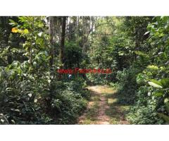 40 cents Coffee farm land with house for sale in Kenichira