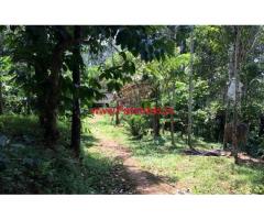 40 cents Coffee farm land with house for sale in Kenichira
