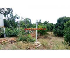 3.8 acres mango farm land for sale near Shoolagiri