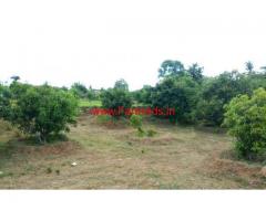 3.8 acres mango farm land for sale near Shoolagiri