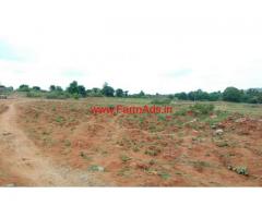 12 acres agriculture land for sale near Rayakottai