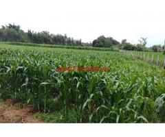 3 acre 15 gunta farm land for sale, 15 Kms from Malavalli